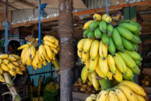 How a Lack of Potassium Can Contribute to Constipation and Disrupt Digestive Function