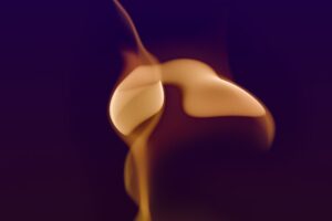Potassium-Rich Diets Understanding Their Influence on Kidney Health and Chronic Disease Prevention