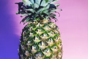 Potassium and Its Crucial Impact on Nerve Function A Deeper Look at Its Biological Mechanisms