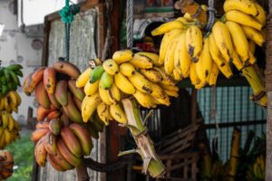 The Essential Link Between Potassium, Sodium, and Chloride in Maintaining Fluid and Electrolyte Balance