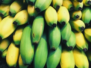 The Role of Potassium in Maintaining Cellular Homeostasis and Supporting Metabolic Functions